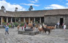 Galapagos - kwiecień 2009