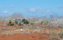 Galapagos - kwiecień 2009