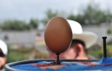 Galapagos - kwiecień 2009