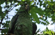 Galapagos - kwiecień 2009