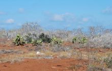 Galapagos - kwiecień 2009