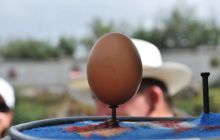 Galapagos - kwiecień 2009