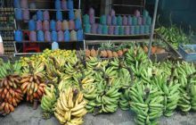 Galapagos - kwiecień 2009