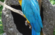 Galapagos - kwiecień 2009