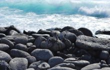 Galapagos - kwiecień 2009