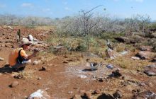 Galapagos - kwiecień 2009