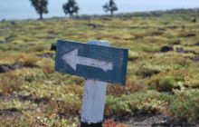 Galapagos - kwiecień 2009