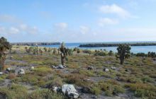 Galapagos - kwiecień 2009