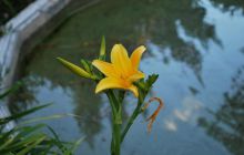 Galapagos - kwiecień 2009