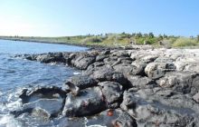 Galapagos - kwiecień 2009