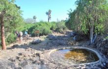 Galapagos - kwiecień 2009