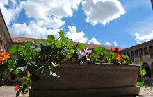 Galapagos - kwiecień 2009