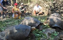 Galapagos - kwiecień 2009