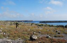 Galapagos - kwiecień 2009