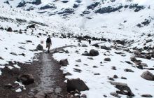 Galapagos - kwiecień 2009