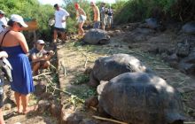 Galapagos - kwiecień 2009