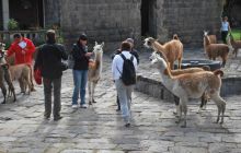 Galapagos - kwiecień 2009