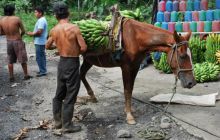 Galapagos - kwiecień 2009