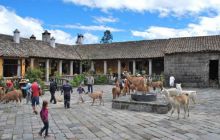 Galapagos - kwiecień 2009