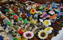 Galapagos - kwiecień 2009