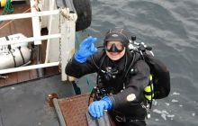 ScapaFlow - sierpień 2009