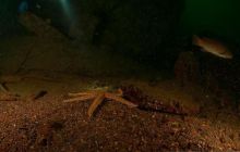 ScapaFlow - sierpień 2009