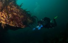 ScapaFlow - sierpień 2009