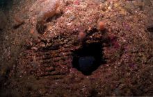 ScapaFlow - sierpień 2009