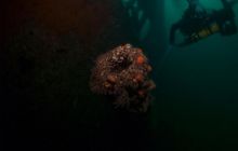 ScapaFlow - sierpień 2009