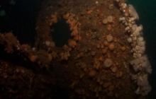 ScapaFlow - sierpień 2009