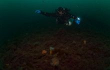 ScapaFlow - sierpień 2009