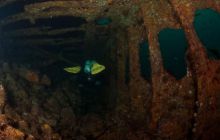 ScapaFlow - sierpień 2009