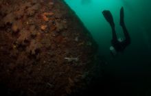 ScapaFlow - sierpień 2009