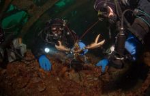 ScapaFlow - sierpień 2009