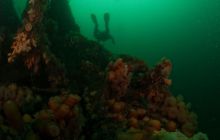 ScapaFlow - sierpień 2009