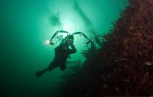 ScapaFlow - sierpień 2009