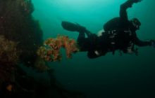 ScapaFlow - sierpień 2009