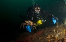 ScapaFlow - sierpień 2009