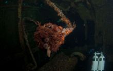 ScapaFlow - sierpień 2009