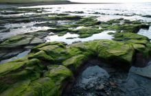 ScapaFlow - sierpień 2009