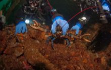 ScapaFlow - sierpień 2009