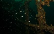 ScapaFlow - sierpień 2009