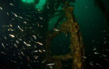 ScapaFlow - sierpień 2009