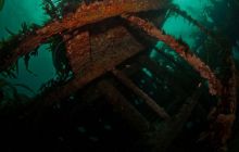 ScapaFlow - sierpień 2009