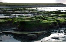 ScapaFlow - sierpień 2009