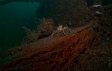 ScapaFlow - sierpień 2009