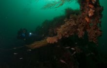 ScapaFlow - sierpień 2009