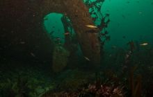 ScapaFlow - sierpień 2009