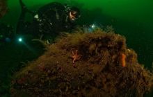 ScapaFlow - sierpień 2009