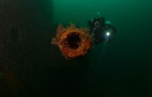 ScapaFlow - sierpień 2009